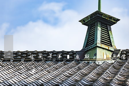 信用卡年費逾期2個月(信用卡2個月逾期后果)