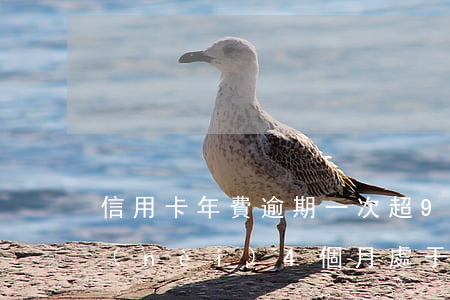 信用卡年費逾期一次超90天(信用卡5年內(nèi)4個月處于逾期,但未90天逾期)