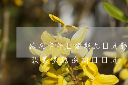 信用卡年費逾期九個月影響貸款(銀行信用貸款最多能逾期幾個月)