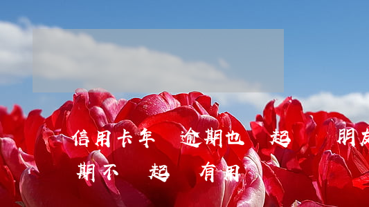信用卡年費逾期也會起訴嗎(朋友用信用卡逾期不還起訴有用嗎)