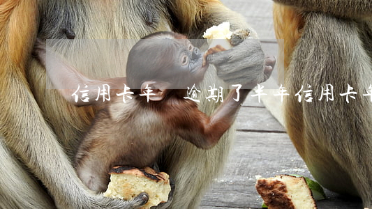 信用卡年費逾期了半年(信用卡 年費逾期)