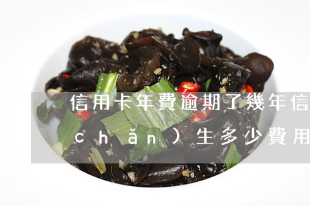 信用卡年費逾期了幾年(信用卡逾期一年產(chǎn)生多少費用)