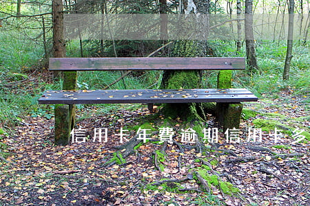 信用卡 年費逾期（信用卡多久不換算逾期）