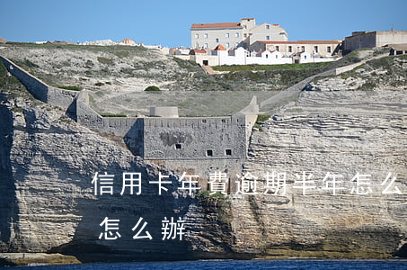 信用卡年費逾期半年怎么辦(銀行卡年費逾期怎么辦)