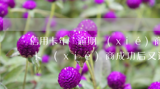 信用卡年費逾期協(xié)商技巧(跟信用卡協(xié)商成功后又逾期了)