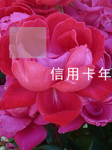 信用卡年費逾期可以讓銀行開證明