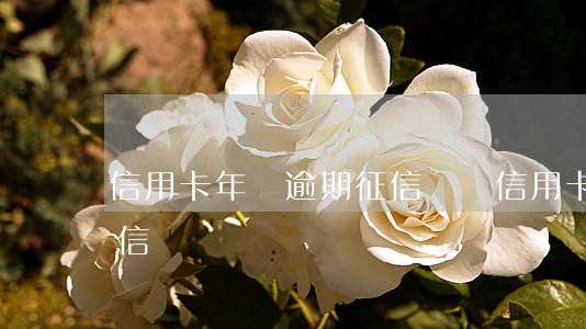 信用卡年費逾期征信異議(信用卡年費逾期征信異議)
