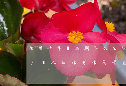 信用卡年費逾期怎么在征信體現(xiàn) 個人征信有信用卡逾期