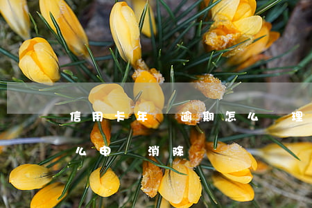 信用卡年費逾期怎么處理(信用卡年費逾期怎么申請消除)
