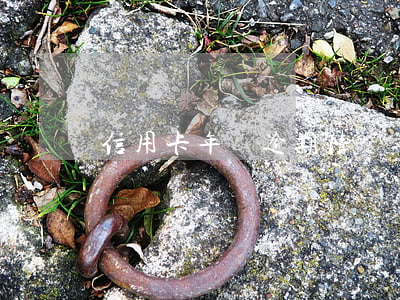 信用卡年費逾期情況說明書