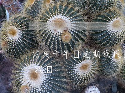 信用卡年費逾期我找誰-信用卡年費逾期我找誰
