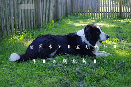 信用卡年費逾期最新規(guī)定(信用卡年費逾期最新規(guī)定)