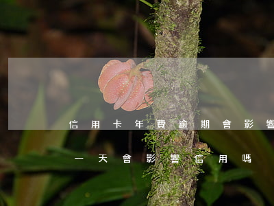 信用卡年費逾期會影響車貸款(車輛貸款逾期一天會影響信用嗎)