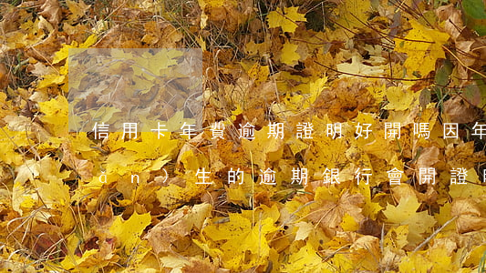 信用卡年費逾期證明好開嗎(因年費產(chǎn)生的逾期銀行會開證明嗎)