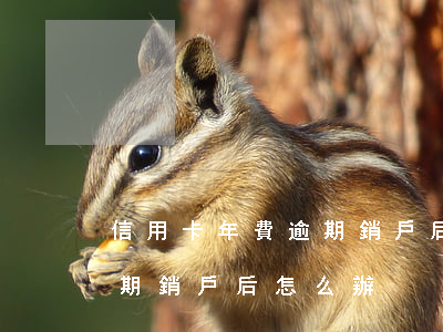 信用卡年費逾期銷戶后怎么辦(信用卡年費逾期銷戶后怎么辦)