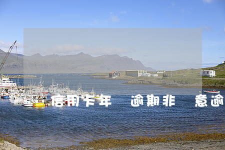 信用卡年費逾期非惡意逾期證明(“信用卡逾期”)