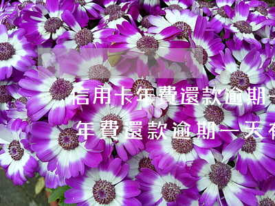 信用卡年費還款逾期一天有影響嗎-信用卡年費還款逾期一天有影響嗎知乎