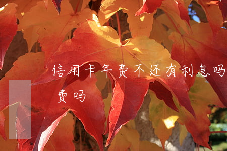 信用卡年费不还有利息吗(信用卡要利息和年费吗)
