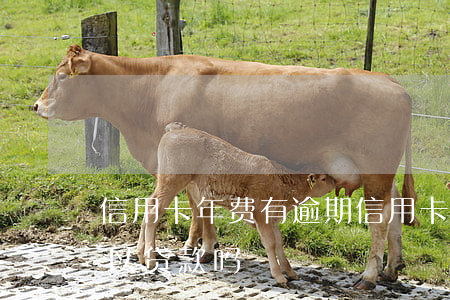 信用卡年费有逾期 信用卡年费有逾期买车可以贷款吗