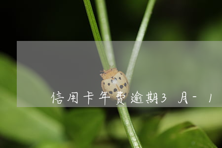 信用卡年费逾期3月-1000 五十六千米