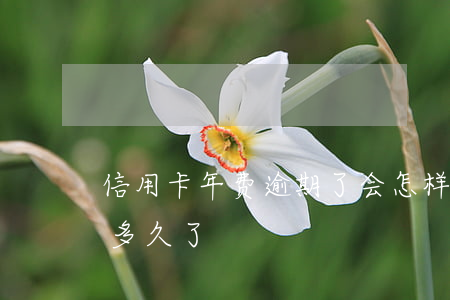 信用卡年费逾期了会怎样 你们的信用卡逾期多久了