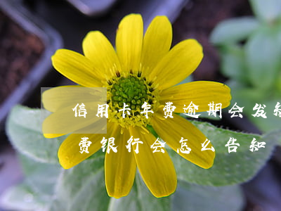 信用卡年费逾期会发短信提醒吗(欠信用卡年费银行会怎么告知)