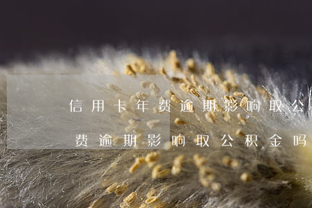 信用卡年费逾期影响取公积金吗-信用卡年费逾期影响取公积金吗