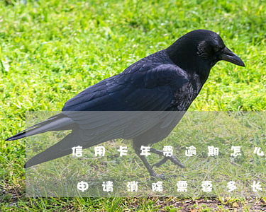 信用卡年费逾期怎么撤销(信用卡年费逾期已申请消除需要多长时间)