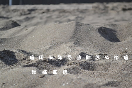 信用卡年费逾期怎么消(信用卡年费逾期怎么消除征信)