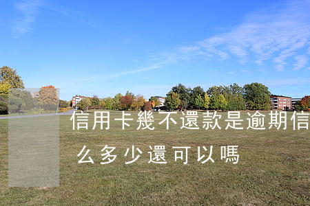 信用卡幾不還款是逾期(信用卡逾期還不了那么多少還可以嗎)