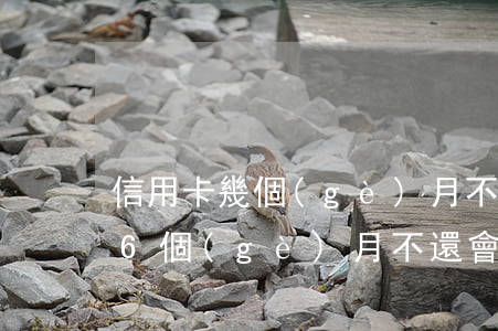 信用卡幾個(gè)月不還會被拉黑(信用卡6個(gè)月不還會怎樣)