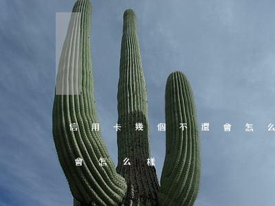 信用卡幾個不還會怎么樣(多張信用卡還不上會怎么樣)