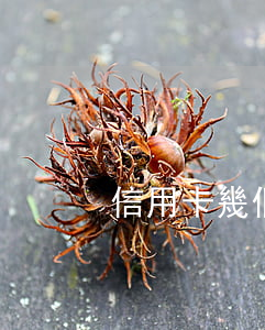 信用卡幾個月不還上征信(信用卡幾個月沒還)