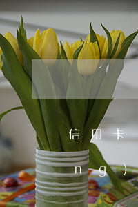 信用卡幾個月不還變黑名單(如果已經(jīng)成黑名單了信用卡還不上怎么辦?)