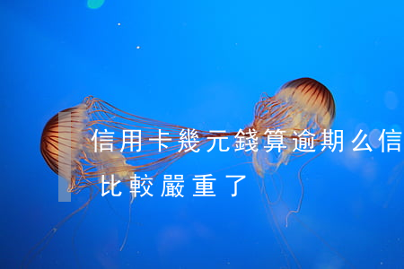 信用卡幾元錢算逾期么(信用卡逾期多少錢就比較嚴重了)