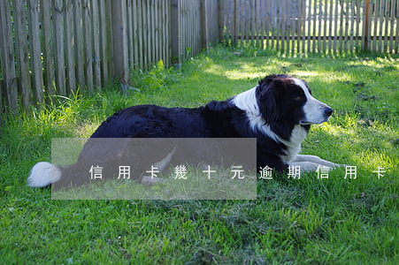 信用卡幾十元逾期 信用卡幾十元逾期一天