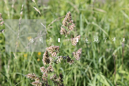 信用卡幾十塊逾期了半年(幾塊錢信用卡逾期)