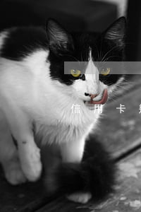 信用卡幾十塊逾期還款(信用卡逾期幾千塊錢)