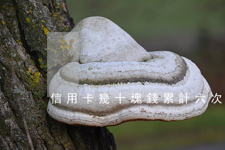 信用卡幾十塊錢累計六次逾期
