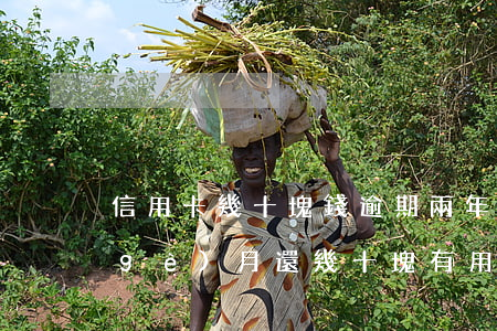 信用卡幾十塊錢逾期兩年(信用卡逾期每個(gè)月還幾十塊有用么)