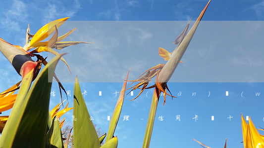 信用卡幾十萬(wàn)無(wú)力償還我怎么處理-信用卡幾十萬(wàn)無(wú)力償還我怎么處理呢