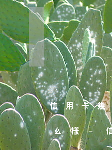 信用卡幾十萬逾期不接電話會(huì)怎么樣-信用卡幾十萬逾期不接電話會(huì)怎么樣嗎