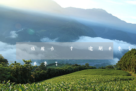 信用卡幾十萬逾期半年了(信用卡幾十萬逾期半年了)