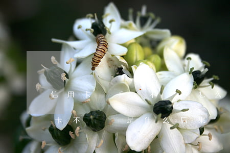 信用卡幾千塊不還會怎么樣(幾千塊錢的信用卡不還會是什么后果)