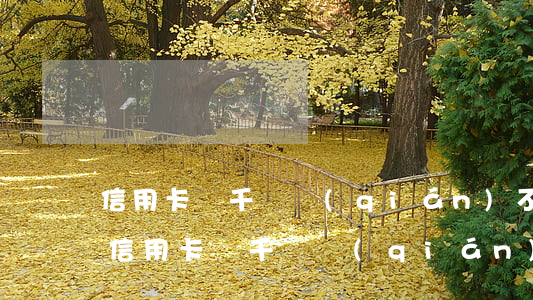 信用卡幾千塊錢(qián)不還怎么辦(欠信用卡幾千塊錢(qián)還不了怎么處理)