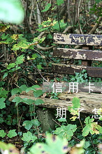 信用卡幾塊錢沒還逾期咋辦(沒錢還信用卡逾期了怎么辦)