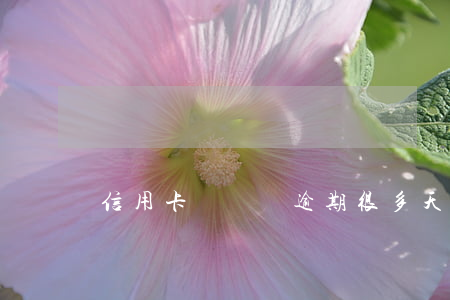 信用卡幾塊錢逾期很多天(信用卡幾元錢逾期)