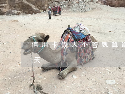 信用卡幾天不管就算逾期了-信用卡 逾期 幾天