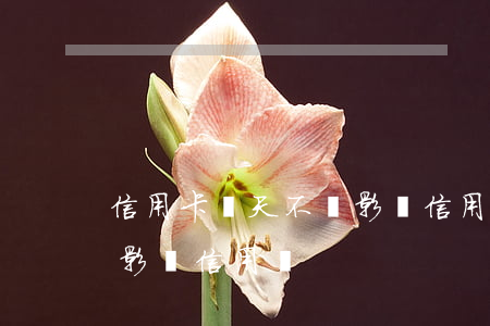 信用卡幾天不還影響信用嗎(信用卡幾天不還影響信用嗎)