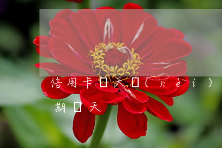 信用卡幾天內(nèi)不算逾期(信用卡 逾期 幾天)
